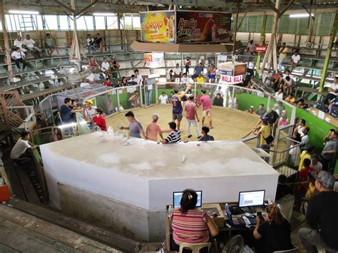 ngsc cockpit arena|Ngsc Cockpit Arena .